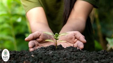 natural resources in the philippines|11 Ways To Conserve Natural Resources You Can Do Right Now.